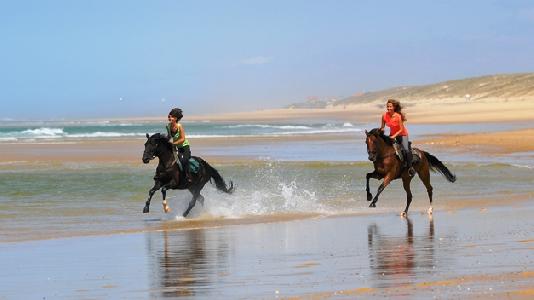 balade-a-cheval-normandie-plage_4